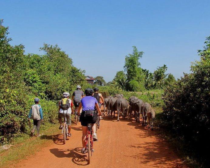silk-island-bike-tour-3