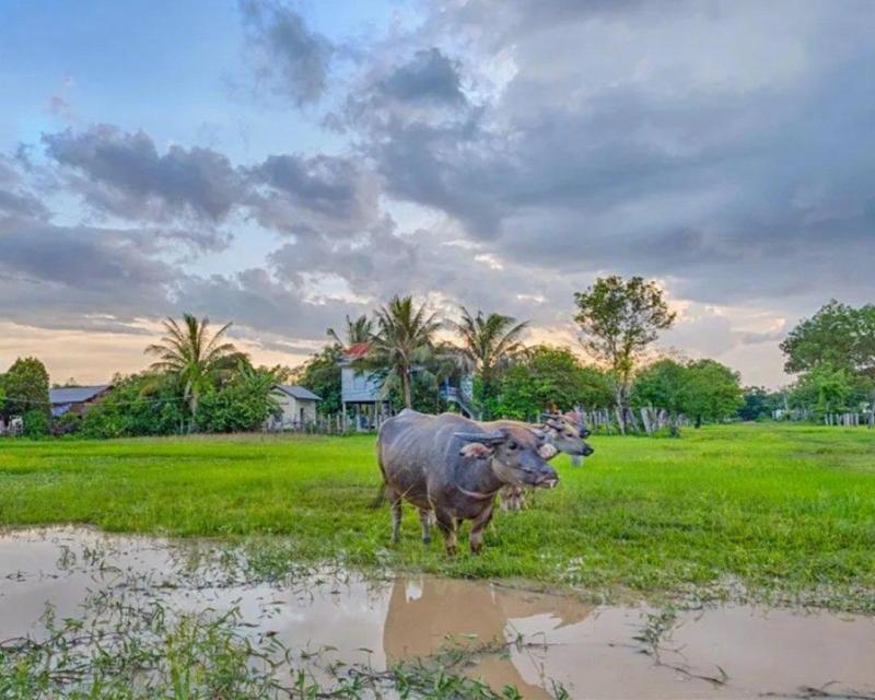 sunset-countryside-tour-by-vespa-5