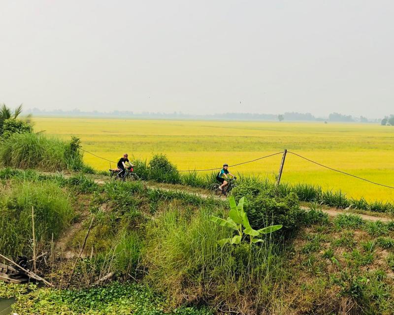 full-day-bike-boat-mekong-delta-private-1