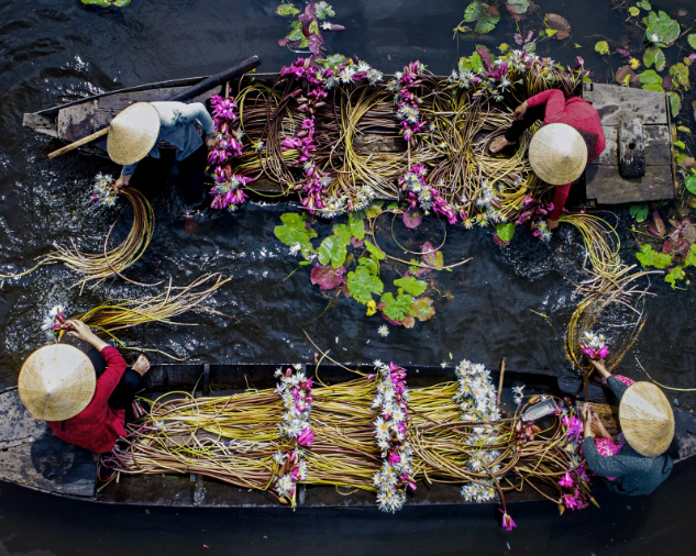 full-day-mekong-delta-my-tho-ben-tre-private-1