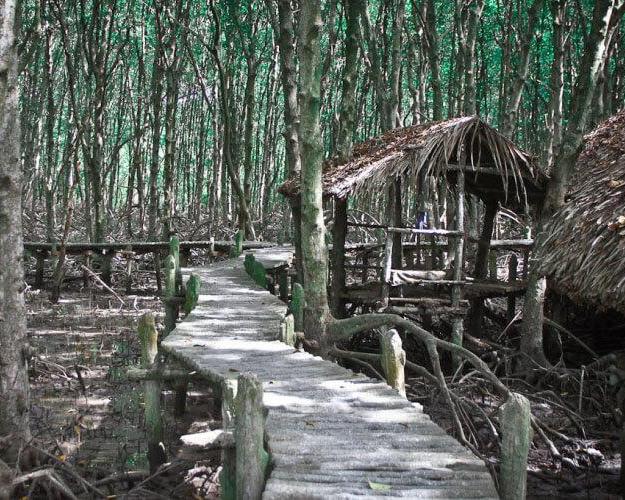 full-day-vam-sat-ecological-monkey-island-mangr-3