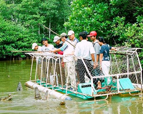 full-day-vam-sat-ecological-monkey-island-mangr-4