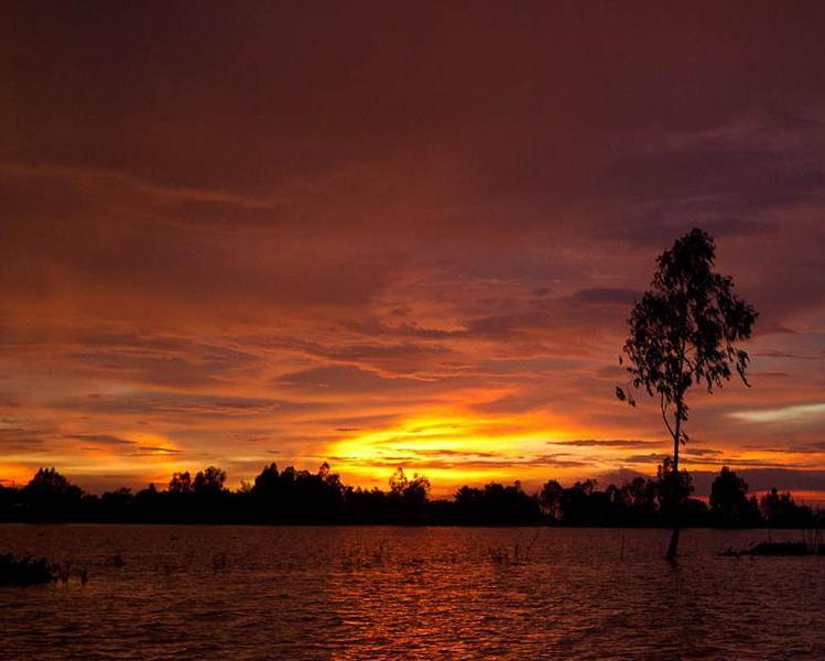 sunset-river-cruise-small-group-tour-6