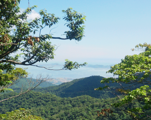 full-day-bach-ma-national-park-private-2