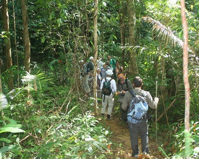 full-day-bach-ma-national-park-private-4