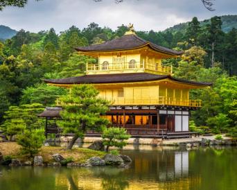 Kyoto Half Day Tour: Kinkaku-ji, Ginkaku-ji & Kiyo