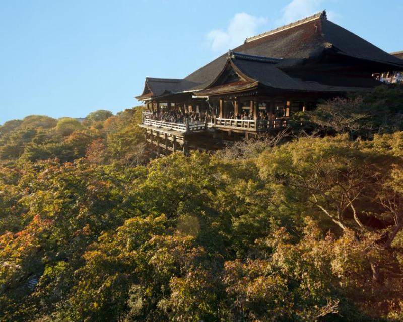 kyoto-half-day-tour-kinkaku-ji-ginkaku-ji-kiyo-4