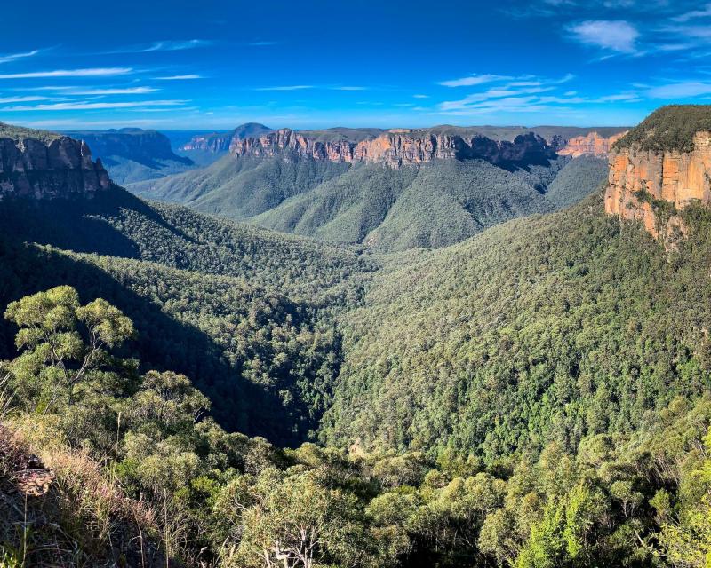 blue-mountains-full-day-private-tour-spanish-sp-1