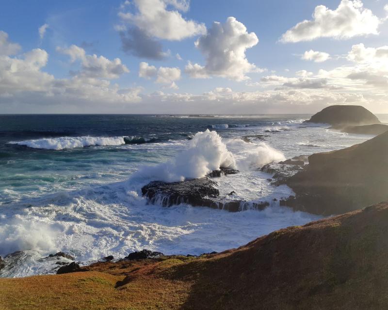 phillip-island-with-penguin-parade-private-tour-s-1