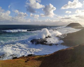 Phillip Island with Penguin Parade Private Tour (S