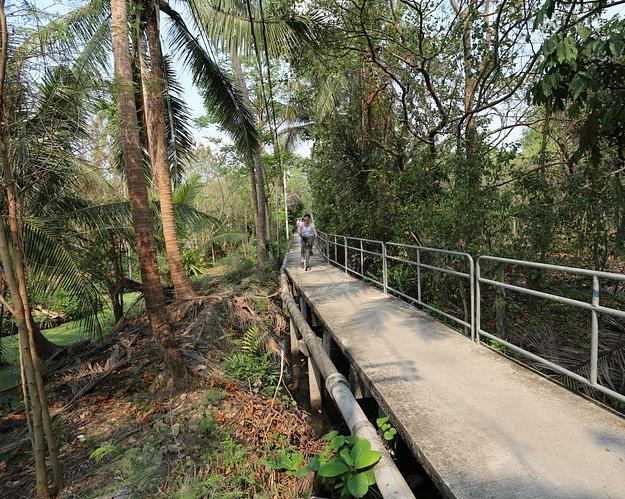 cycle-bangkok-jungle-colors-of-bangkok-5
