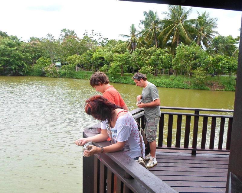 cycle-bangkok-jungle-colors-of-bangkok-7