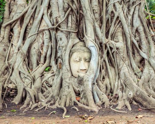 ayutthaya-explorer-by-tuk-tuk-with-guide-private-5