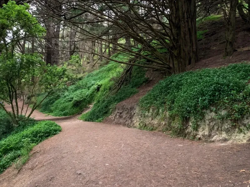 wellington-movie-magic-private-tour-6