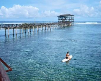 Firefly Boat Tour with Mangrove Tour