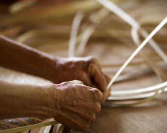 Essence of Sibaltan: A Day of Culture and Traditio