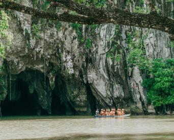 Palawan Underground River and Mangrove Forest Tour