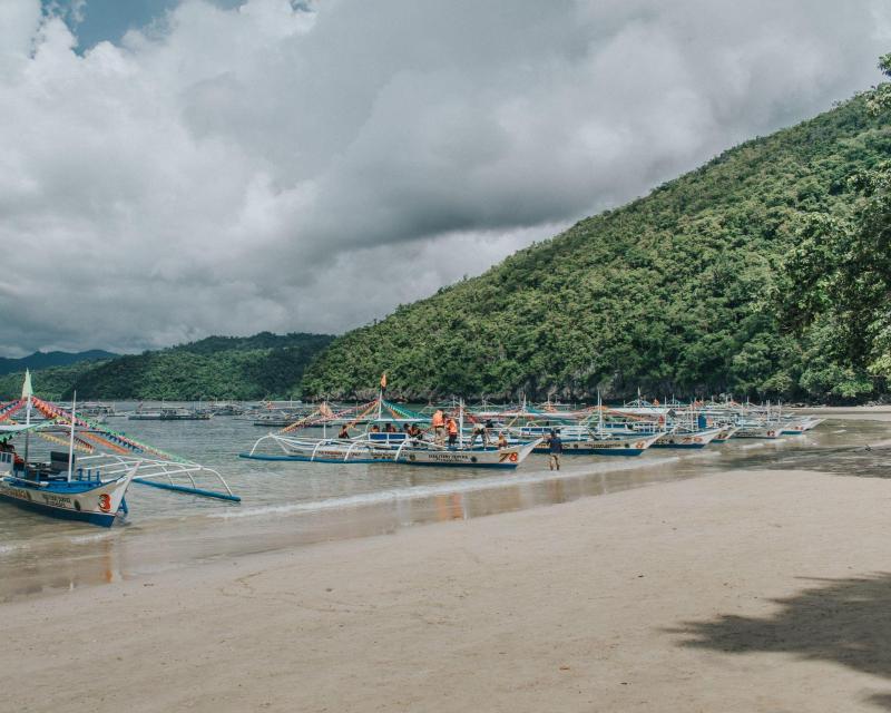 palawan-underground-river-and-mangrove-forest-tour-2