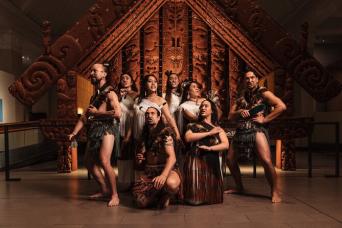 Māori Cultural Experience and General Admission at