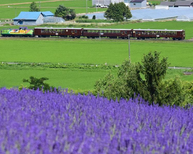 hokkaido-rail-pass-3