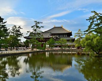 Full Day Uji & Nara Tour with English Speaking Gui
