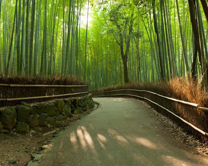 full-day-uji-nara-tour-with-english-speaking-gui-3