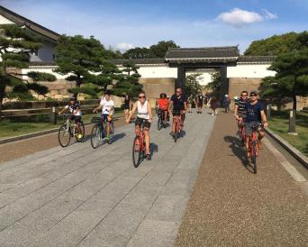 Nara Highlights Bike Tour from Kyoto