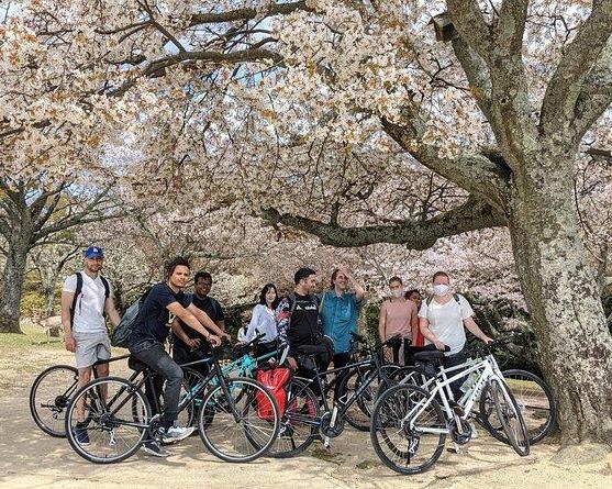 nara-highlights-bike-tour-from-kyoto-2
