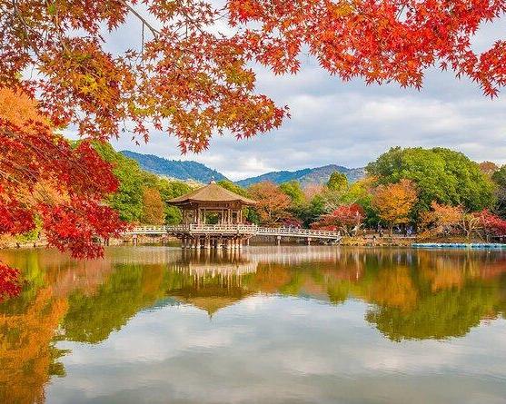 nara-highlights-bike-tour-from-kyoto-8