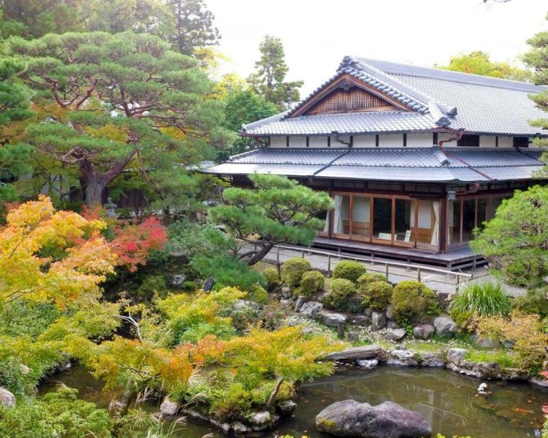 half-day-nara-trip-walking-tour-small-group-tour-3