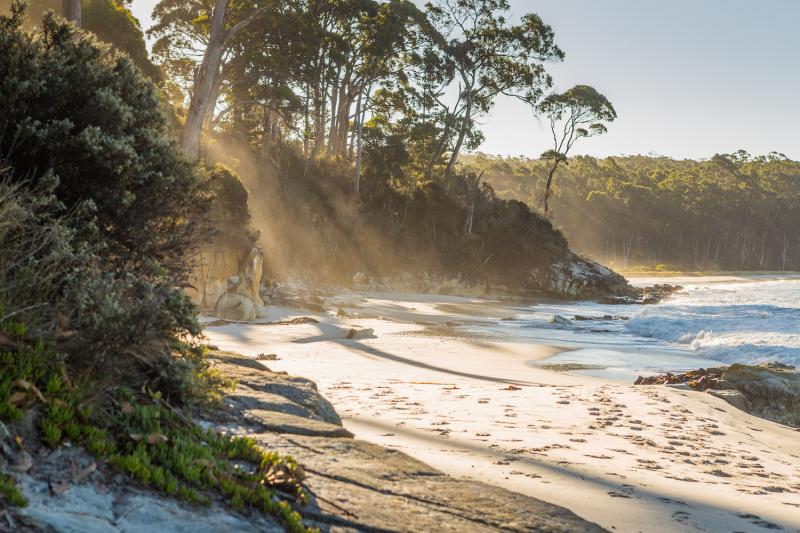 bruny-island-day-tour-2