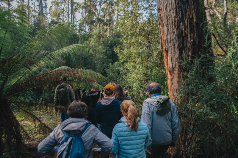 bruny-island-day-tour-3