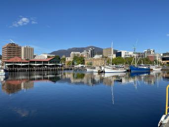 Nipaluna (Hobart) Highlights Day Tour