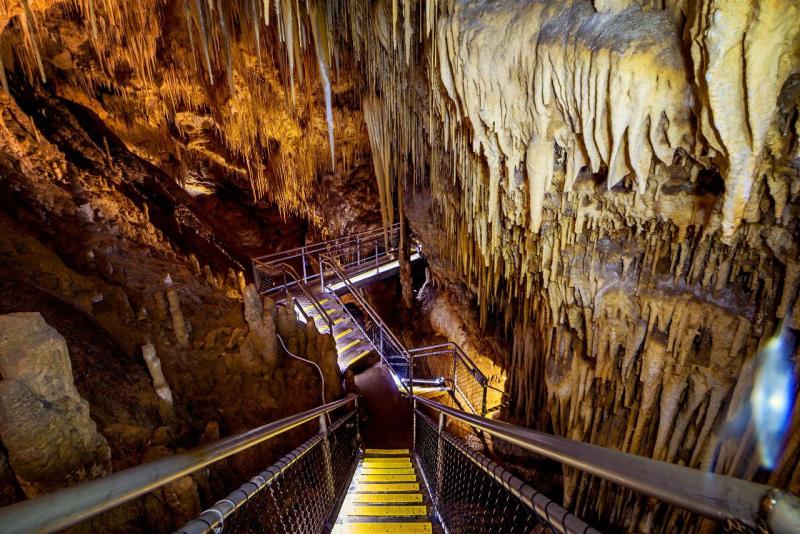 hastings-caves-tahune-airwalk-and-the-huon-tastin-5