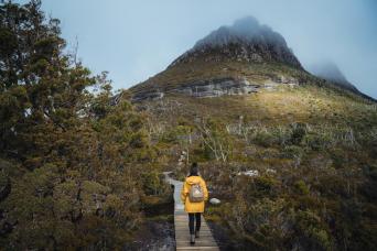 Cradle Mountain Explorer: Hobart to Launceston