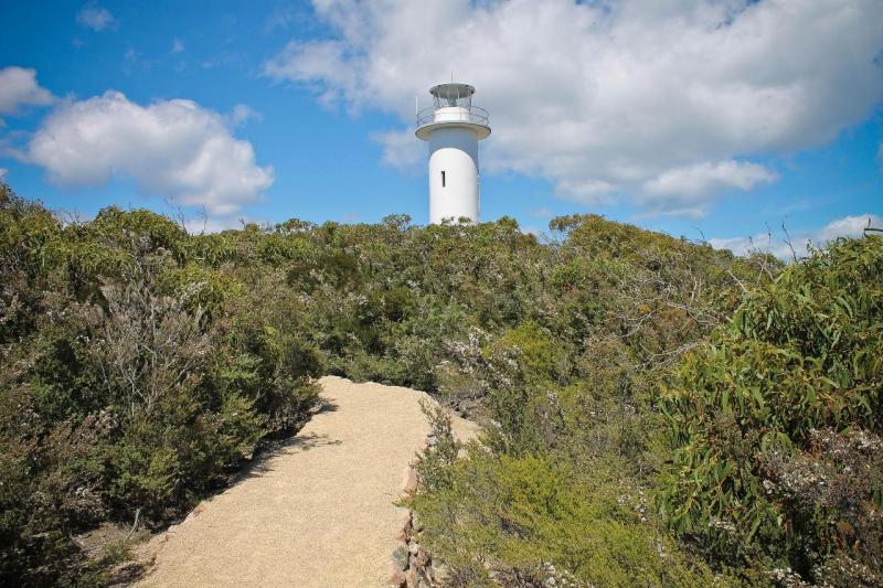wineglass-bay-and-east-coast-trail-hobart-return-2