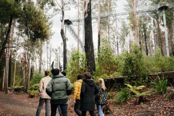 4 Day Tasmanian Highlights Bundle - Hobart  Highli