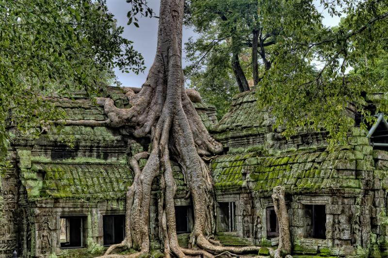 full-day-tuk-tuk-tour-of-angkor-2