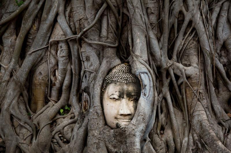 full-day-tuk-tuk-tour-of-angkor-5