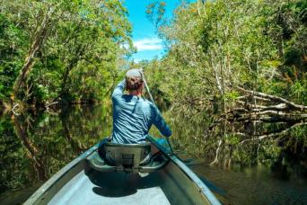 Everglades Explorer Tour (Small Group Tour)