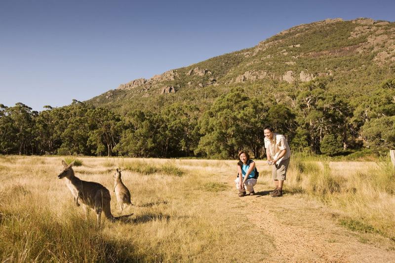 grampians-national-park-day-tour-1
