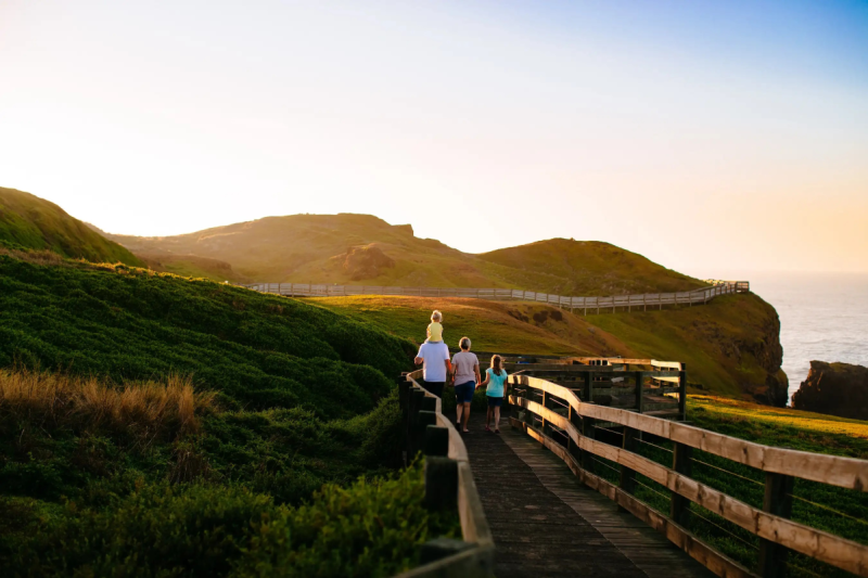 phillip-island-penguin-parade-small-group-eco-tour-5