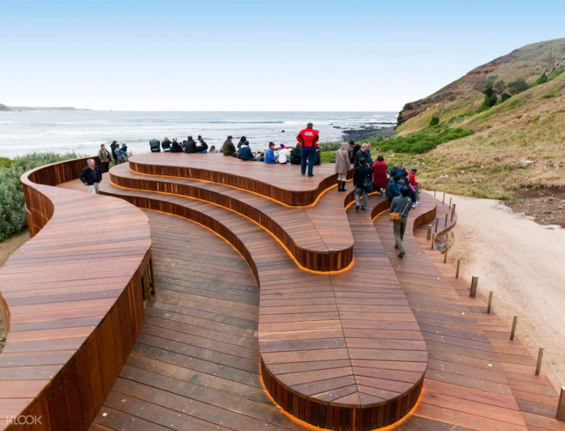 phillip-island-penguin-parade-small-group-eco-tour-1