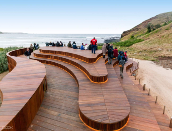 Phillip Island Penguin Parade Small Group Eco Tour