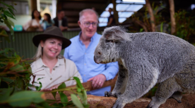 phillip-island-penguin-parade-small-group-eco-tour-2
