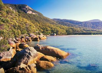 Wilson's Promontory National Park Tour