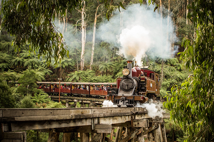 puffing-billy-stream-train-tour-1