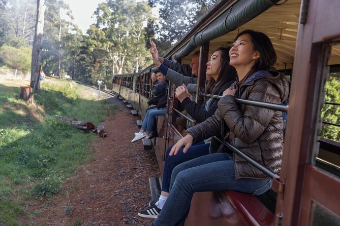 puffing-billy-stream-train-tour-2