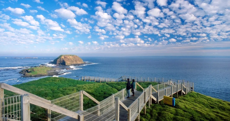 phillip-island-penguins-express-tour-3