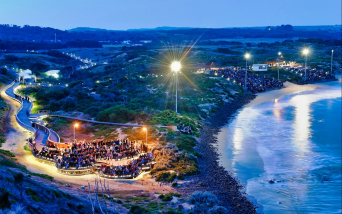 Phillip Island Penguins Express Tour - Small Group